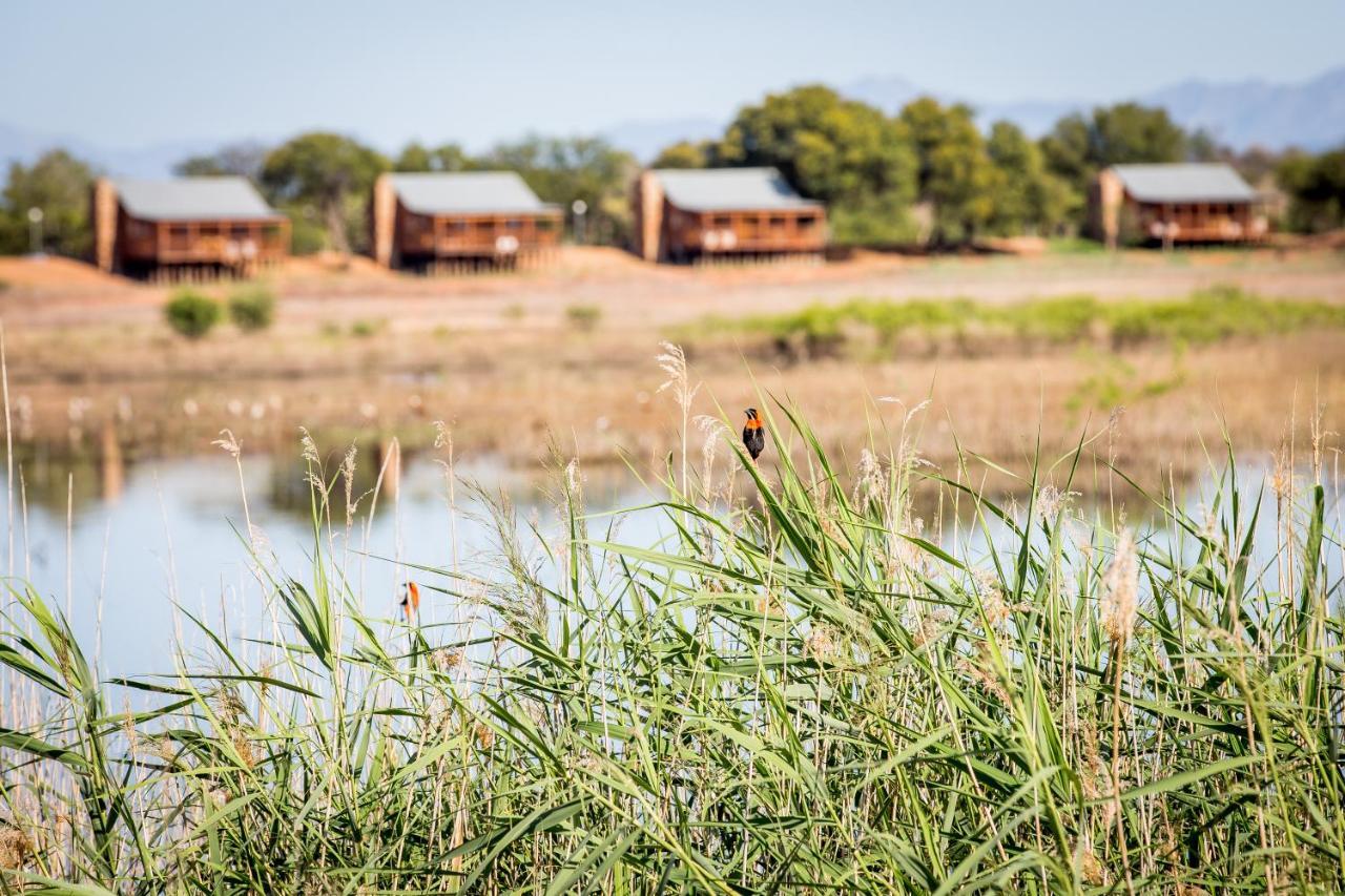 Ferienwohnung Soetdoring Selfsorg Oudtshoorn Exterior foto